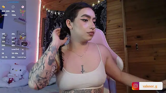 Snapshot of valenor_ chatting on 02-22-25, 06:06 valenor online show from 02-22-25, 06:06