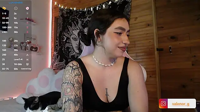 Snapshot of valenor_ chatting on 02-27-25, 03:04 valenor online show from 02-27-25, 03:04