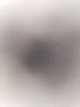 Snapshot of Pitercom chatting on 09-20-25, 03:46 Pitercom online show from 09-20-25, 03:46