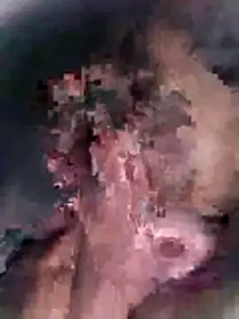 Snapshot of Pitercom chatting on 10-18-25, 12:13 Pitercom online show from 10-18-25, 12:13