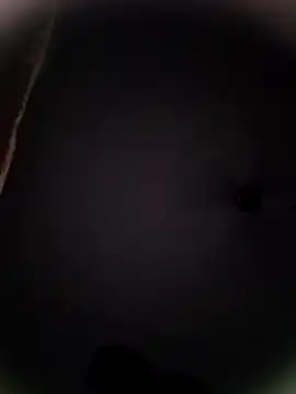 Snapshot of Pitercom chatting on 10-19-25, 09:04 Pitercom online show from 10-19-25, 09:04