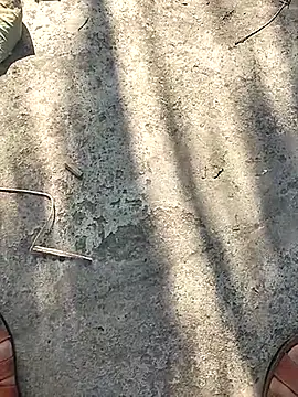 Snapshot of Pitercom chatting on 11-12-25, 09:10 Pitercom online show from 11-12-25, 09:10