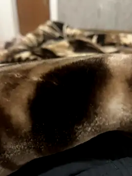 bigshow112 online show from 11-13-25, 04:22