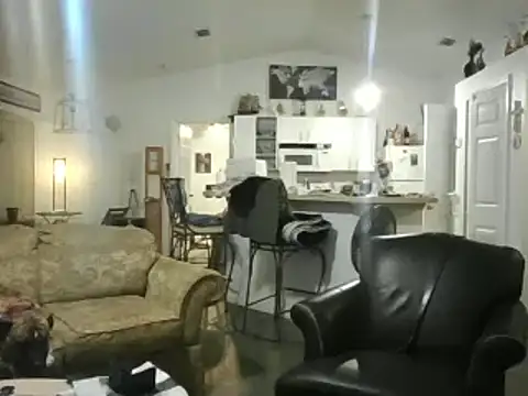 Yankeedave420 online show from 02-17-25, 01:58