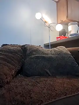 Yankeedave420 online show from 03-16-26, 11:31