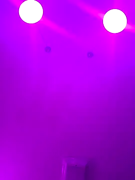 ScarletCallings420 online show from 02-24-25, 04:15