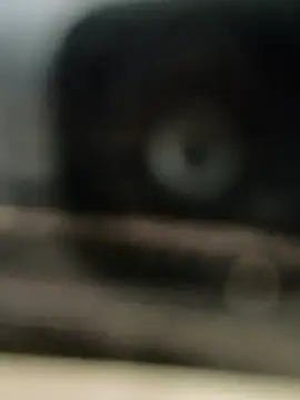 Snapshot of hornydick4you chatting on 03-02-25, 10:56 hornydick4you online show from 03-02-25, 10:56