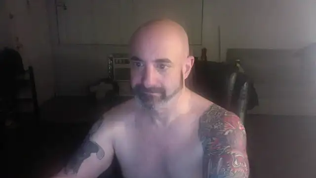 palidin1 online show from 02-06-26, 05:01