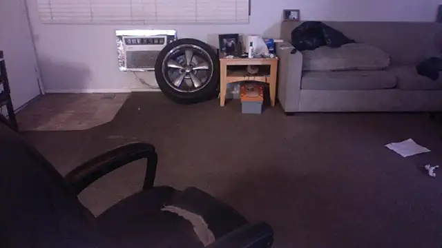 palidin1 online show from 04-17-26, 07:33