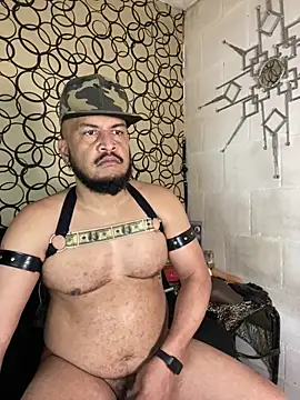 the master foal  online show from 03-19-26, 05:28