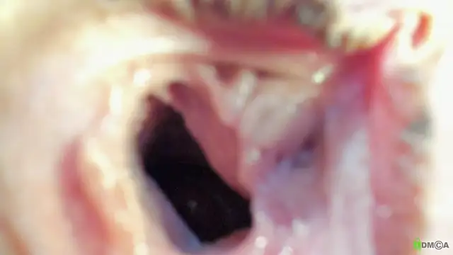 Courtney Luv online show from 09-19-25, 02:51