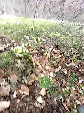 Yaramaz331 online show from 03-31-26, 11:32