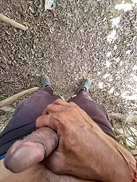 Snapshot of breejs chatting on 11-15-25, 06:55 breejs online show from 11-15-25, 06:55