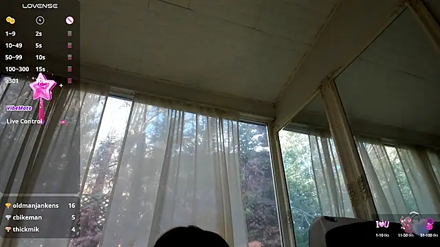 Snapshot of PixieLand chatting on 01-29-25, 11:41 PixieLand online show from 01-29-25, 11:41