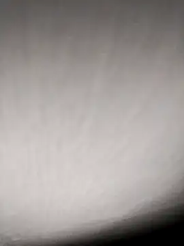 Annerae online show from 04-09-26, 03:50