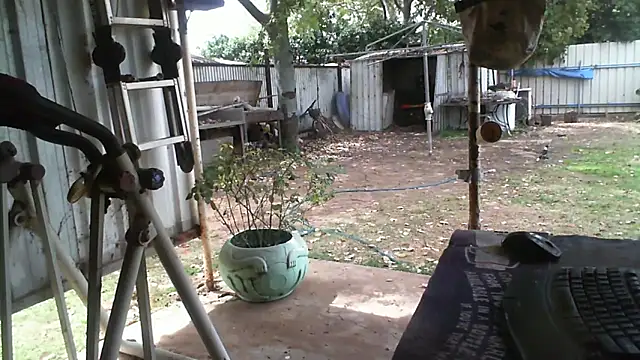 herbie010666 online show from 09-16-25, 03:29