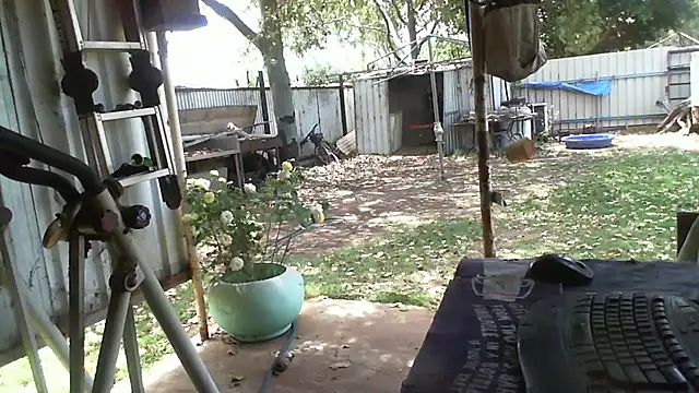 herbie010666 online show from 10-12-25, 02:32