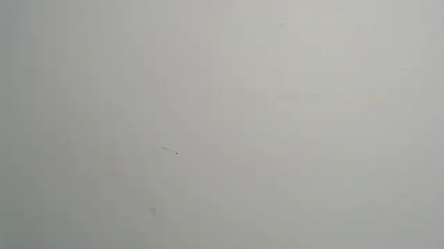 amy le01 online show from 02-28-25, 04:20