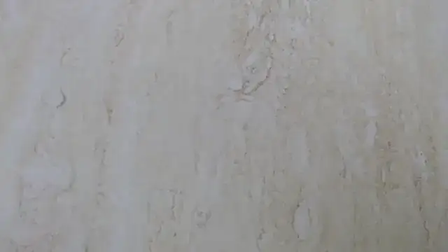 Crazy team  online show from 12-11-24, 11:30