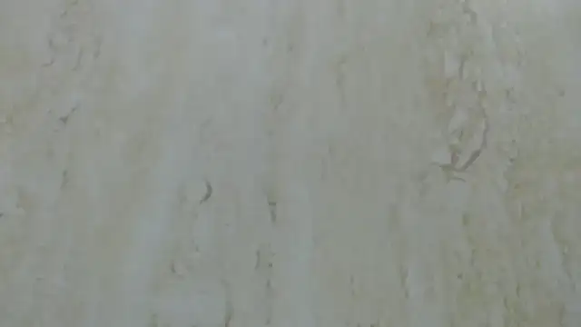 Crazy team  online show from 12-20-24, 03:31