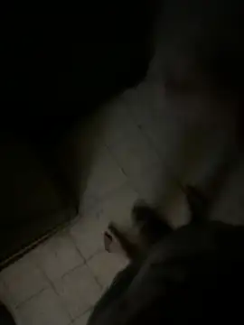 Snapshot of Dedoow chatting on 04-06-26, 10:44 Dedoow online show from 04-06-26, 10:44