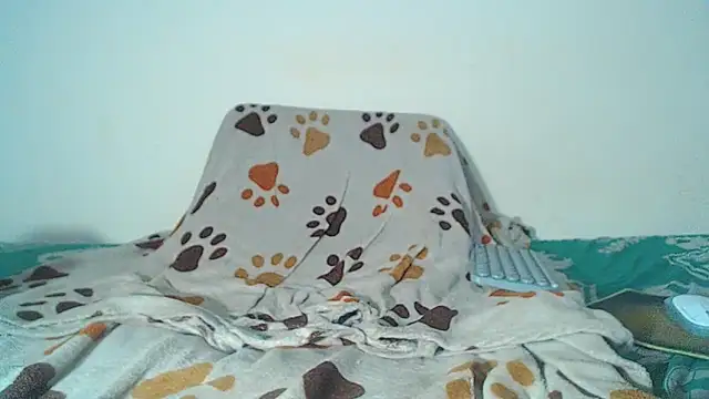 Snapshot of maihton_xx chatting on 02-03-26, 06:40 maihton xx online show from 02-03-26, 06:40