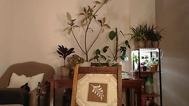 Herman Elfi online show from 03-13-25, 11:16