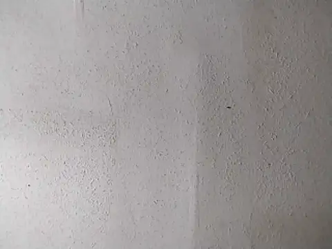 247Srokin online show from 04-13-26, 07:14