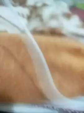 naghmi12 online show from 04-13-26, 05:51