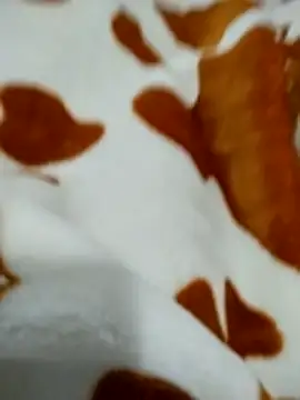 naghmi12 online show from 04-18-26, 01:04