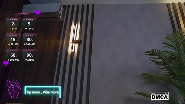 Snapshot of Holl1Would chatting on 02-02-25, 10:17 Holl1Would online show from 02-02-25, 10:17