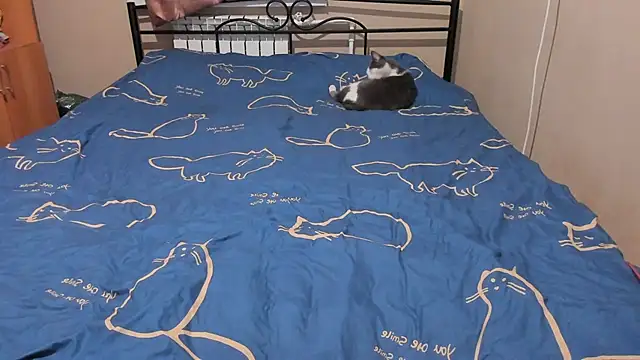 eva zero online show from 12-17-25, 03:07