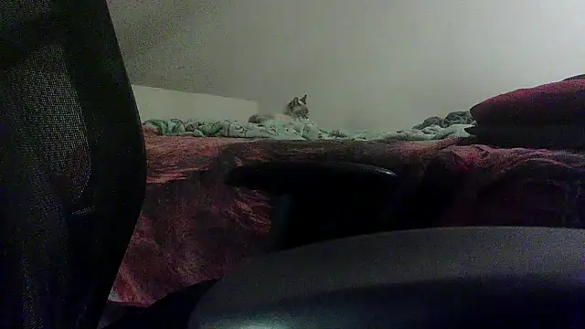 OralDesires2 online show from 02-19-25, 11:46