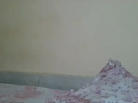 Snapshot of sexyjanett chatting on 04-21-26, 05:50 sexyjanett online show from 04-21-26, 05:50