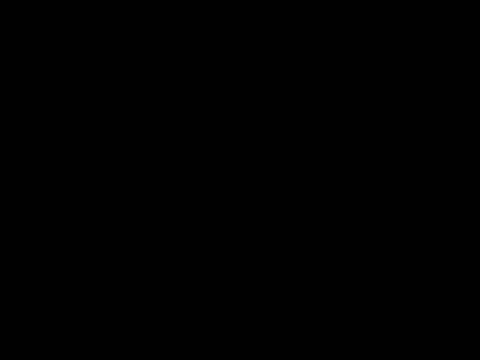 nenalayla online show from 03-03-26, 10:37