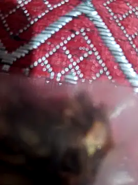 XBHUUME online show from 02-01-25, 10:15