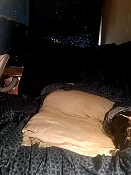 Snapshot of ShadowyTube chatting on 01-13-25, 05:23 ShadowyTube online show from 01-13-25, 05:23