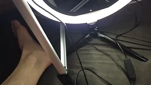 Majestic-Class online show from 02-02-26, 08:57