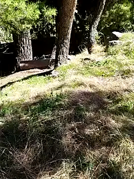 K-27 online show from 10-04-25, 10:24