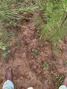 Gopal1243 online show from 12-09-24, 03:29