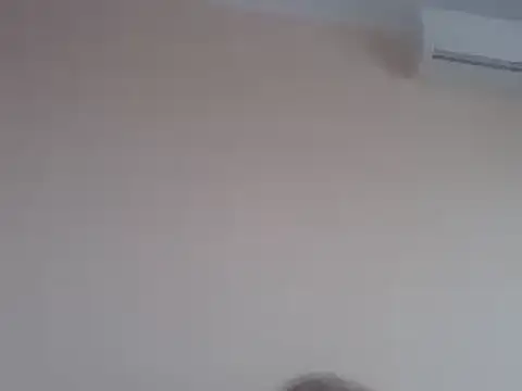 aavocadok online show from 12-12-24, 08:03