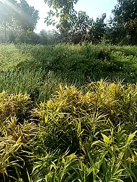 Snapshot of Desi_Rider_Aadi chatting on 12-30-24, 03:47 Desi Rider Aadi online show from 12-30-24, 03:47