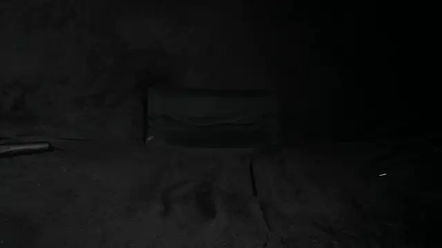 Snapshot of STOP-PANIC chatting on 02-01-25, 08:50 STOP-PANIC online show from 02-01-25, 08:50