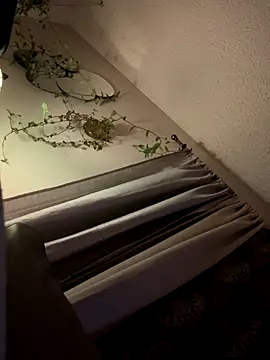 Snapshot of ClumsyLink chatting on 10-11-25, 12:47 ClumsyLink online show from 10-11-25, 12:47