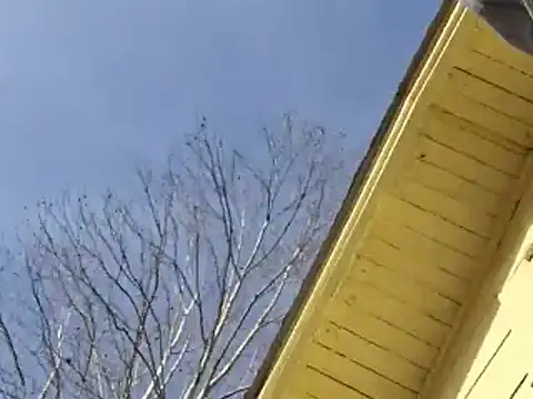 highstepper500 online show from 12-25-24, 08:07