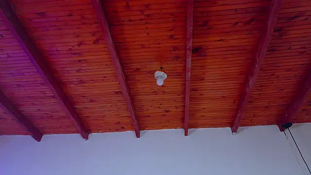 annie barozzi online show from 01-10-26, 01:24