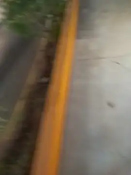 sagrado 1989 online show from 02-08-26, 01:31