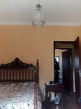 White rabbit  online show from 12-08-24, 10:08