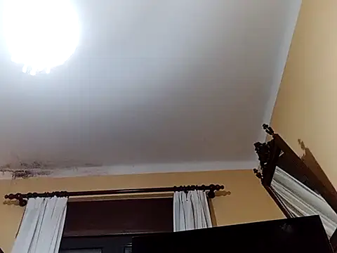 White rabbit  online show from 02-27-25, 09:14