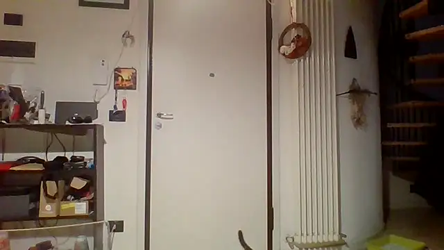 woww791 online show from 03-25-26, 09:54